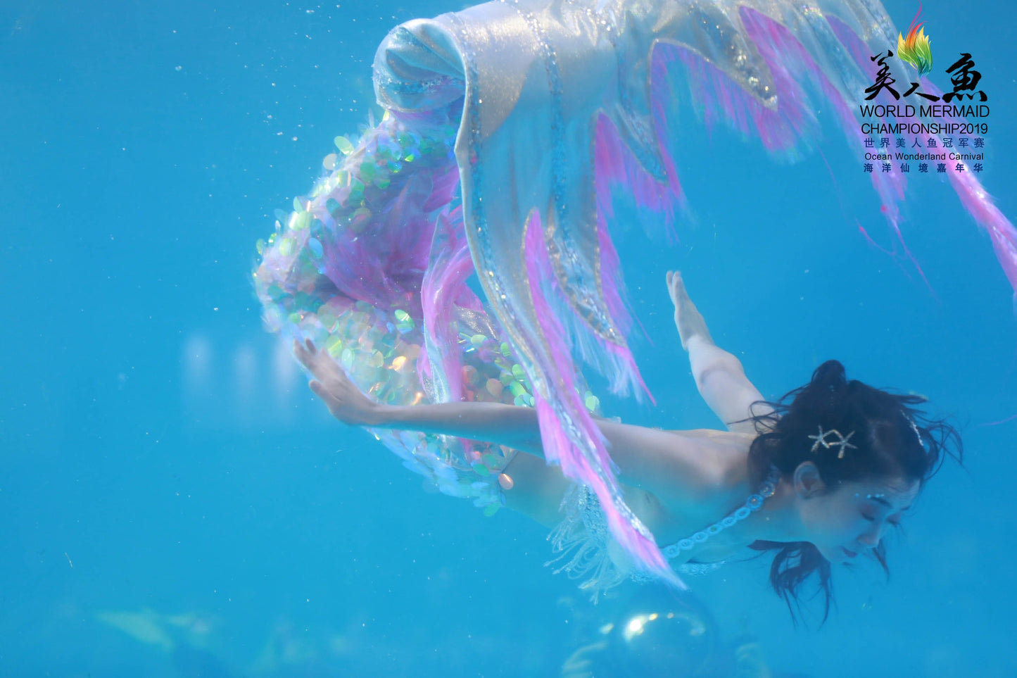 mermaid performer World Mermaid Championship 2019