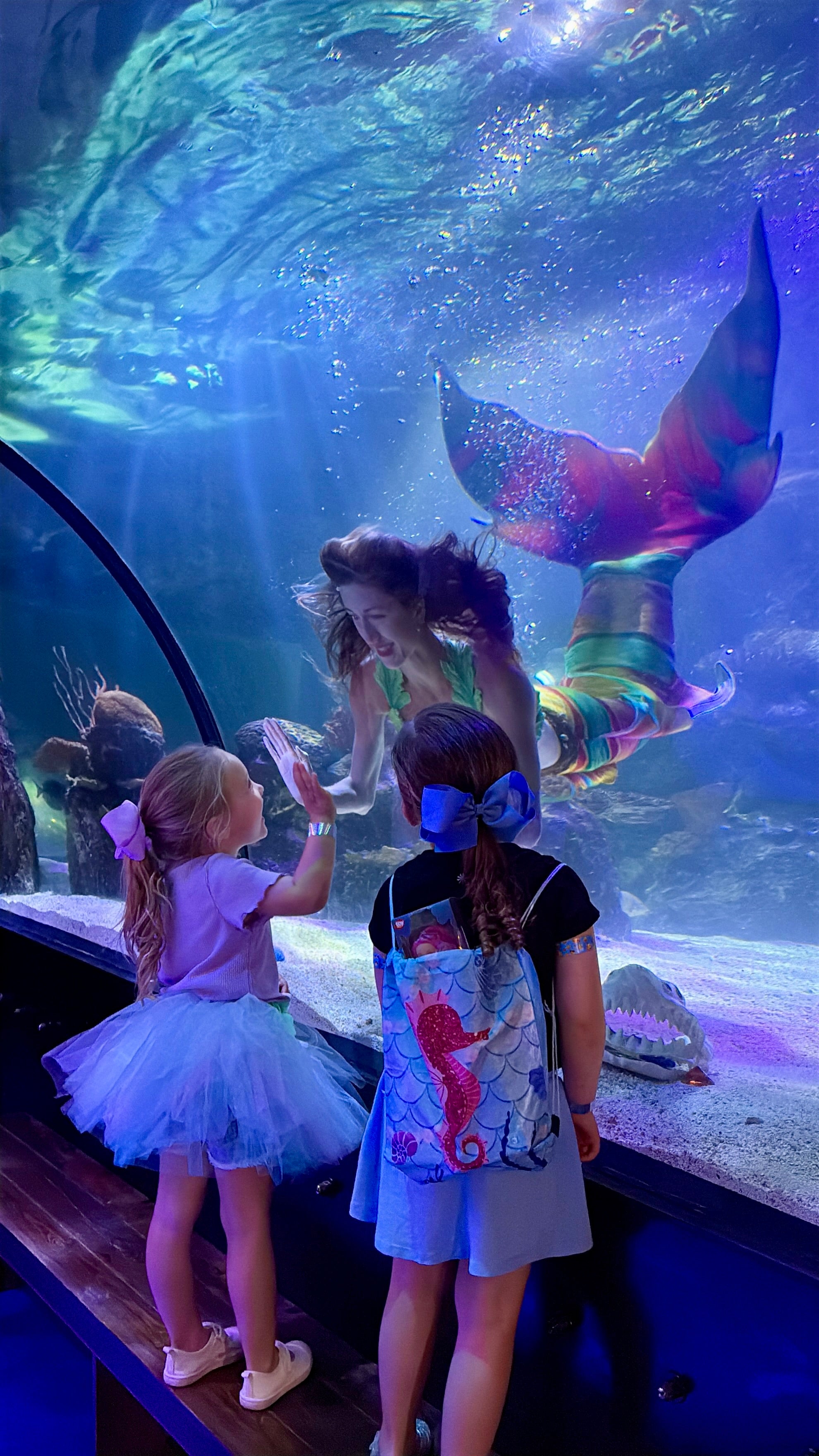 Mermaid performing underwater in aquarium tank, interacting with children through the glass