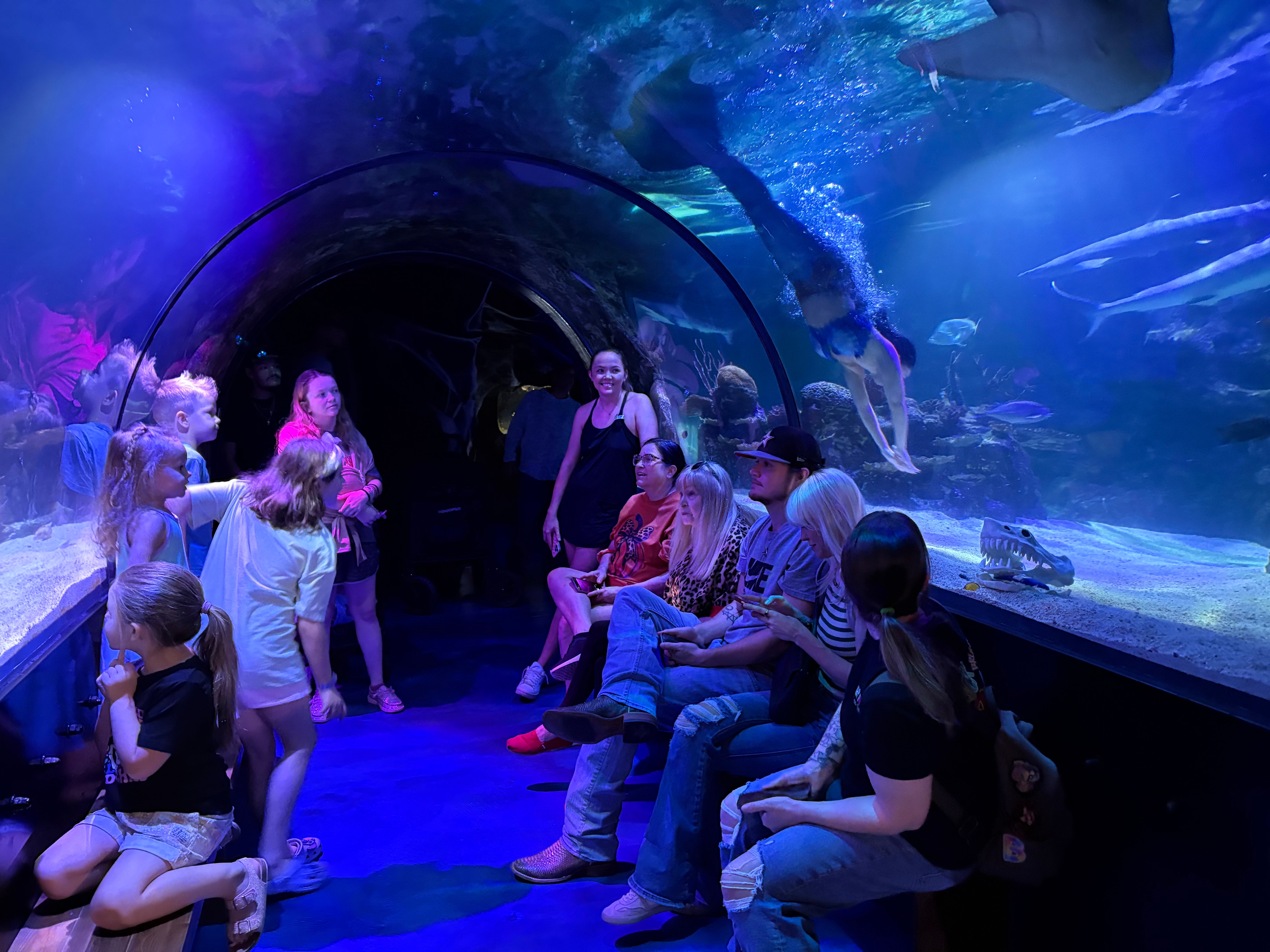 Visitors watching mermaid perform in aquarium tunnel at Shreveport Aquarium