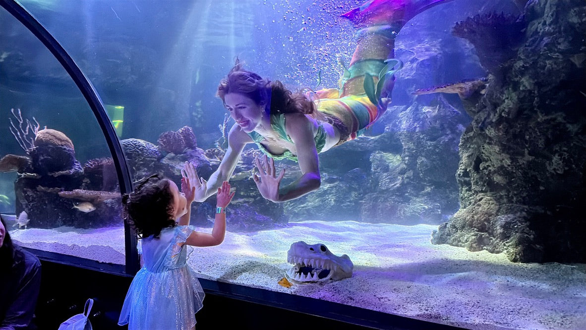 AquaMermaid performer high-fiving a child through aquarium glass
