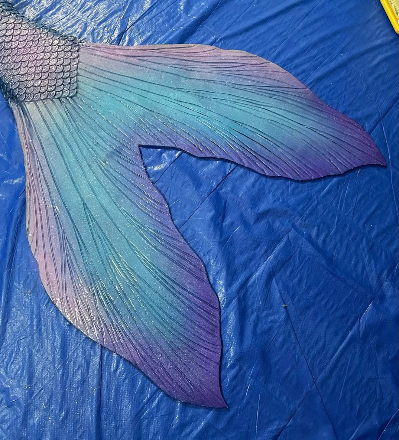 Ariel Live Action fluke shape