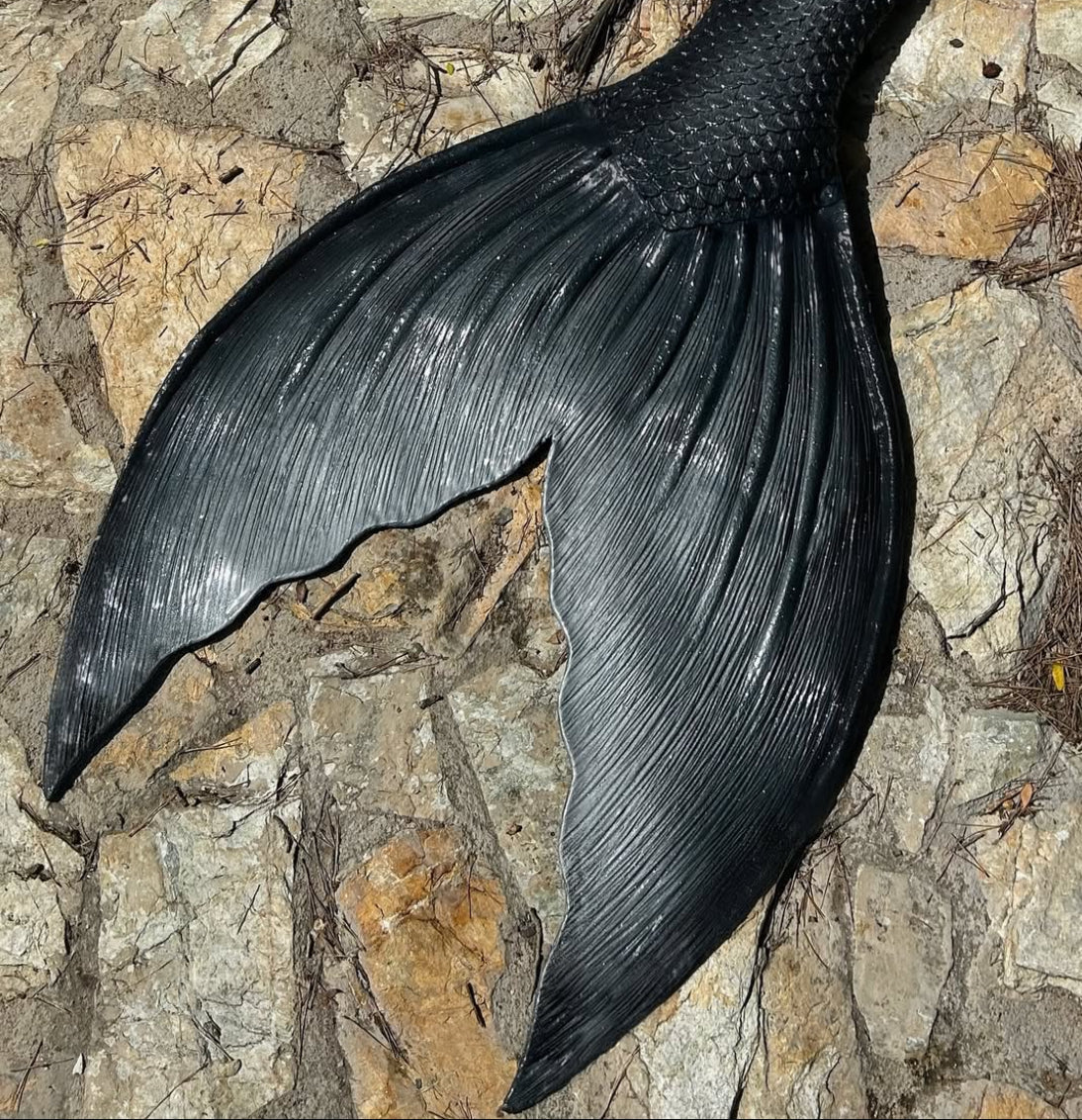 Caraïbe fluke shape